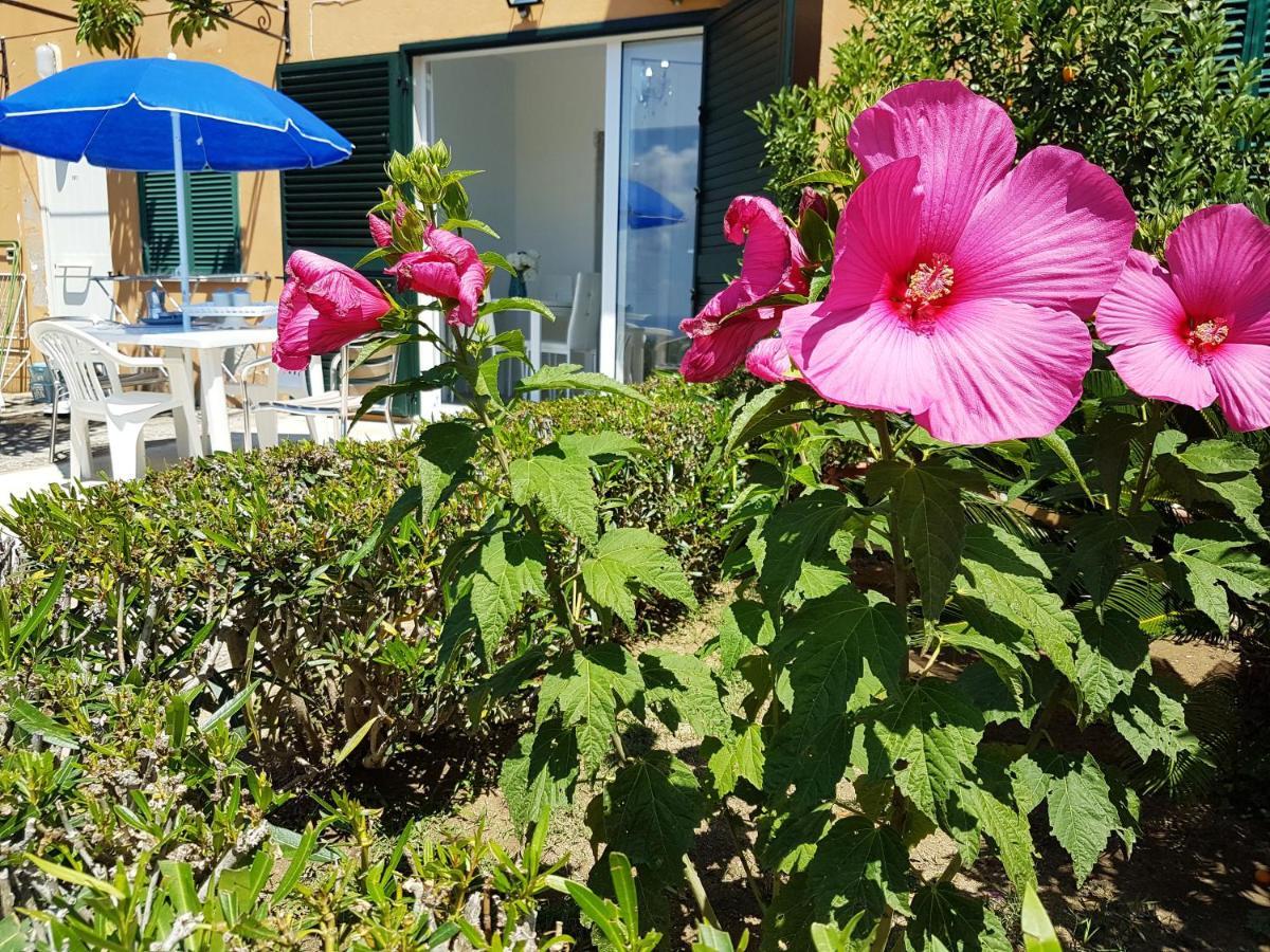 Blue Diamond Apartment Parghelia Bagian luar foto